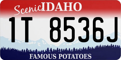 ID license plate 1T8536J