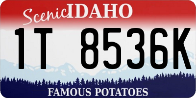 ID license plate 1T8536K
