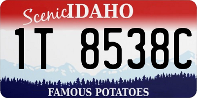 ID license plate 1T8538C