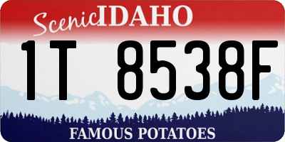 ID license plate 1T8538F