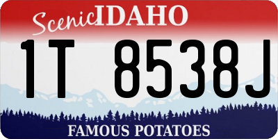 ID license plate 1T8538J