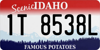 ID license plate 1T8538L