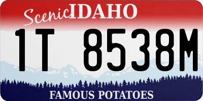 ID license plate 1T8538M