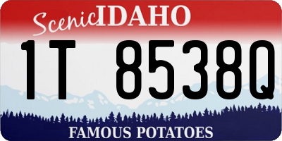 ID license plate 1T8538Q