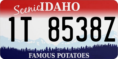 ID license plate 1T8538Z