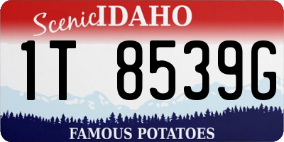 ID license plate 1T8539G