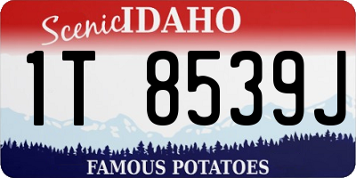 ID license plate 1T8539J