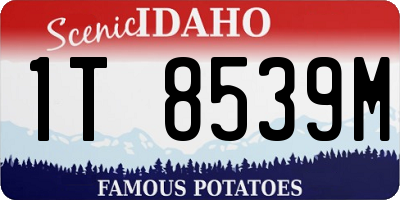 ID license plate 1T8539M
