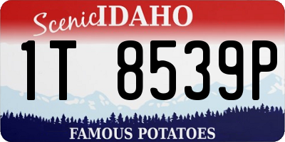 ID license plate 1T8539P