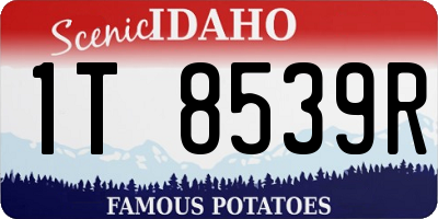 ID license plate 1T8539R