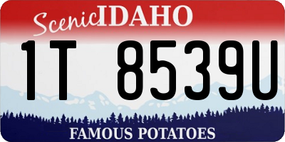 ID license plate 1T8539U