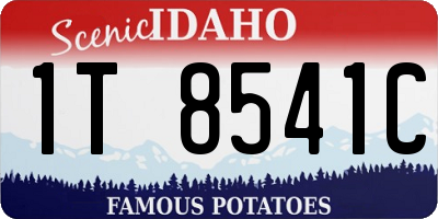 ID license plate 1T8541C