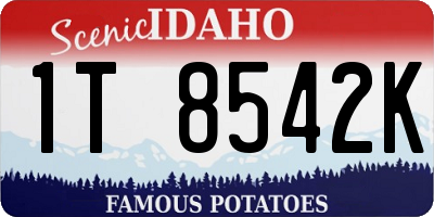 ID license plate 1T8542K