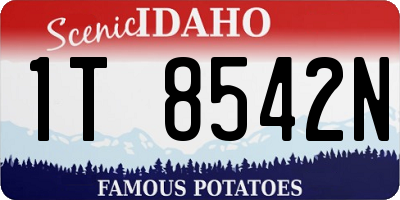 ID license plate 1T8542N