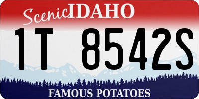 ID license plate 1T8542S