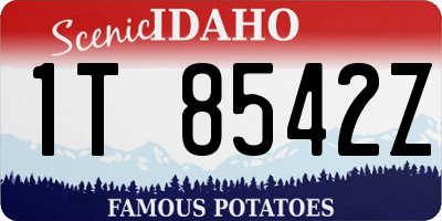 ID license plate 1T8542Z