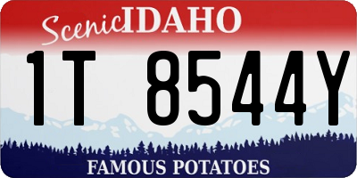 ID license plate 1T8544Y