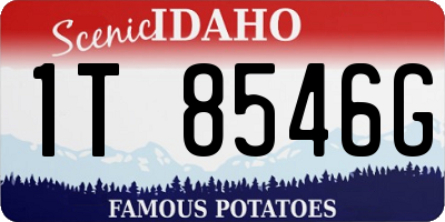 ID license plate 1T8546G