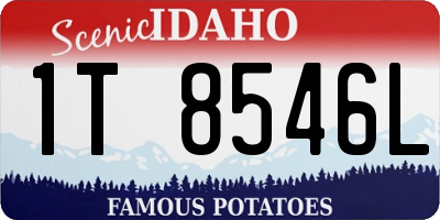 ID license plate 1T8546L