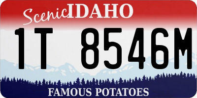 ID license plate 1T8546M