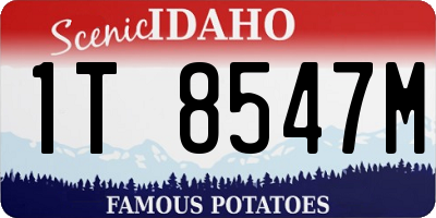 ID license plate 1T8547M