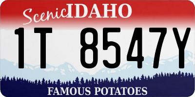 ID license plate 1T8547Y