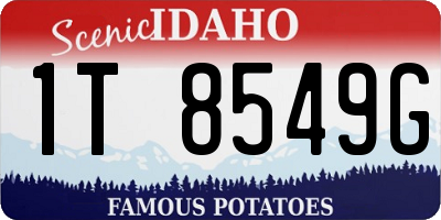 ID license plate 1T8549G