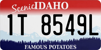 ID license plate 1T8549L