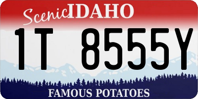 ID license plate 1T8555Y