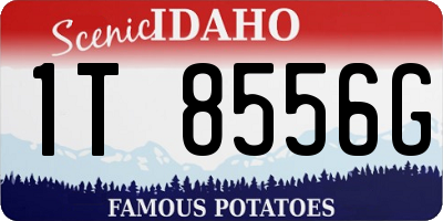 ID license plate 1T8556G