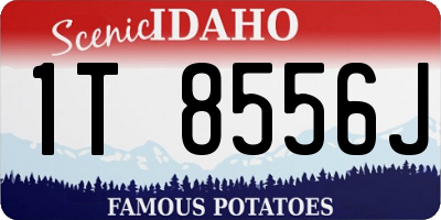 ID license plate 1T8556J