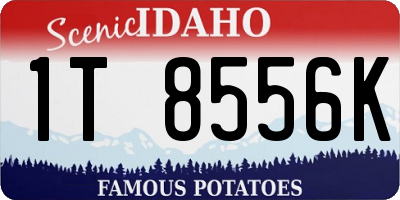 ID license plate 1T8556K