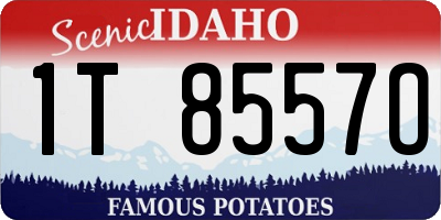 ID license plate 1T8557O