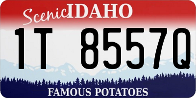 ID license plate 1T8557Q