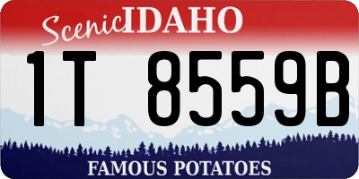 ID license plate 1T8559B