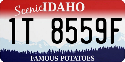 ID license plate 1T8559F