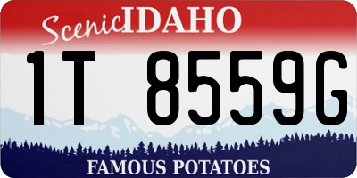 ID license plate 1T8559G