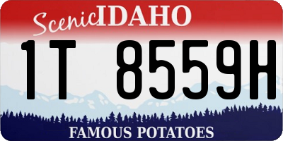 ID license plate 1T8559H