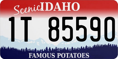 ID license plate 1T8559O