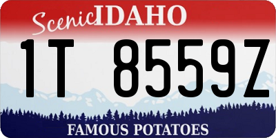 ID license plate 1T8559Z