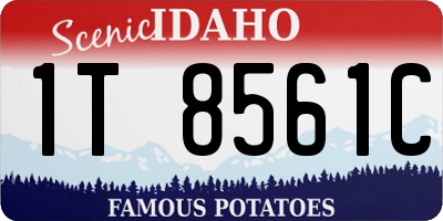 ID license plate 1T8561C