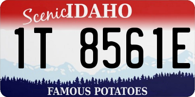 ID license plate 1T8561E