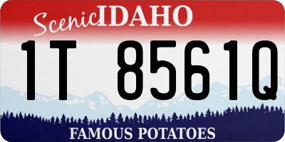 ID license plate 1T8561Q