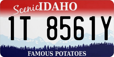 ID license plate 1T8561Y