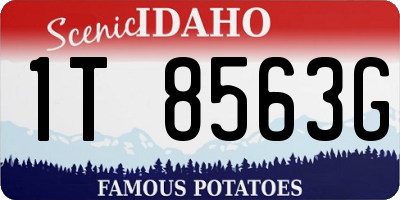 ID license plate 1T8563G