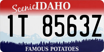 ID license plate 1T8563Z