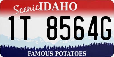 ID license plate 1T8564G