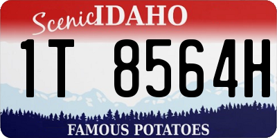 ID license plate 1T8564H