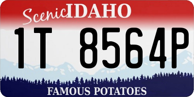 ID license plate 1T8564P