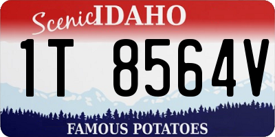 ID license plate 1T8564V